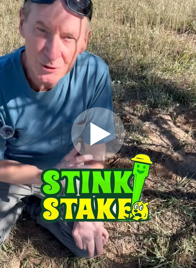 Stink Stake How to Identify gophers